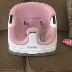 Ingenuity Booster Seat