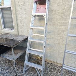6ft Ladder