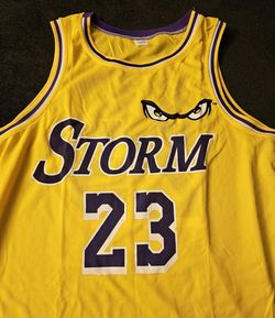 Lake Elsinore Storm Lebron James Lakers Jersey 