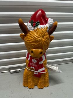 Highland cow