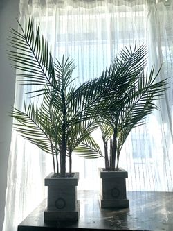 Plant Decor Set
