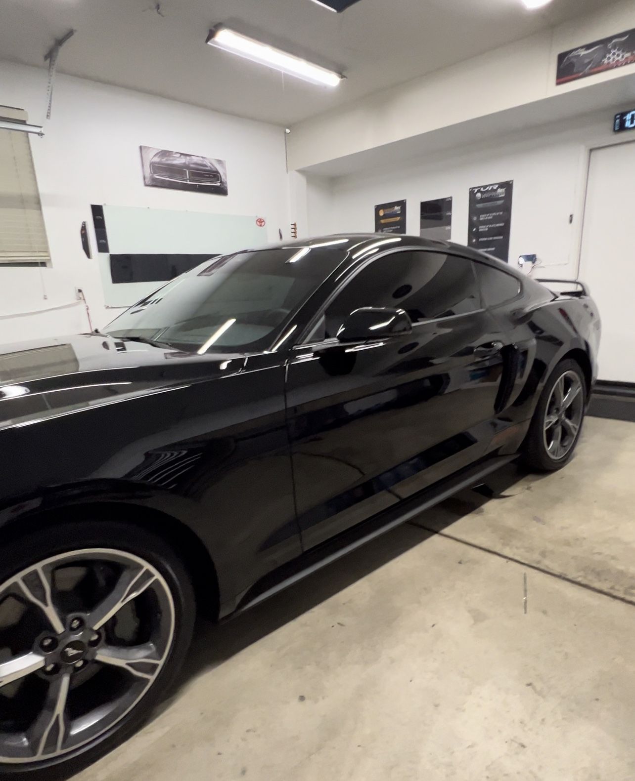 Window-Tint Special