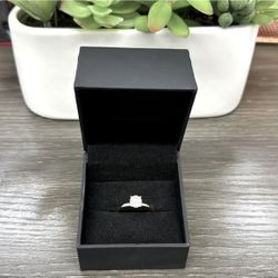 Now+forever Brand 