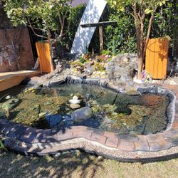 Fish Ponds 🐟 🐠 🎣