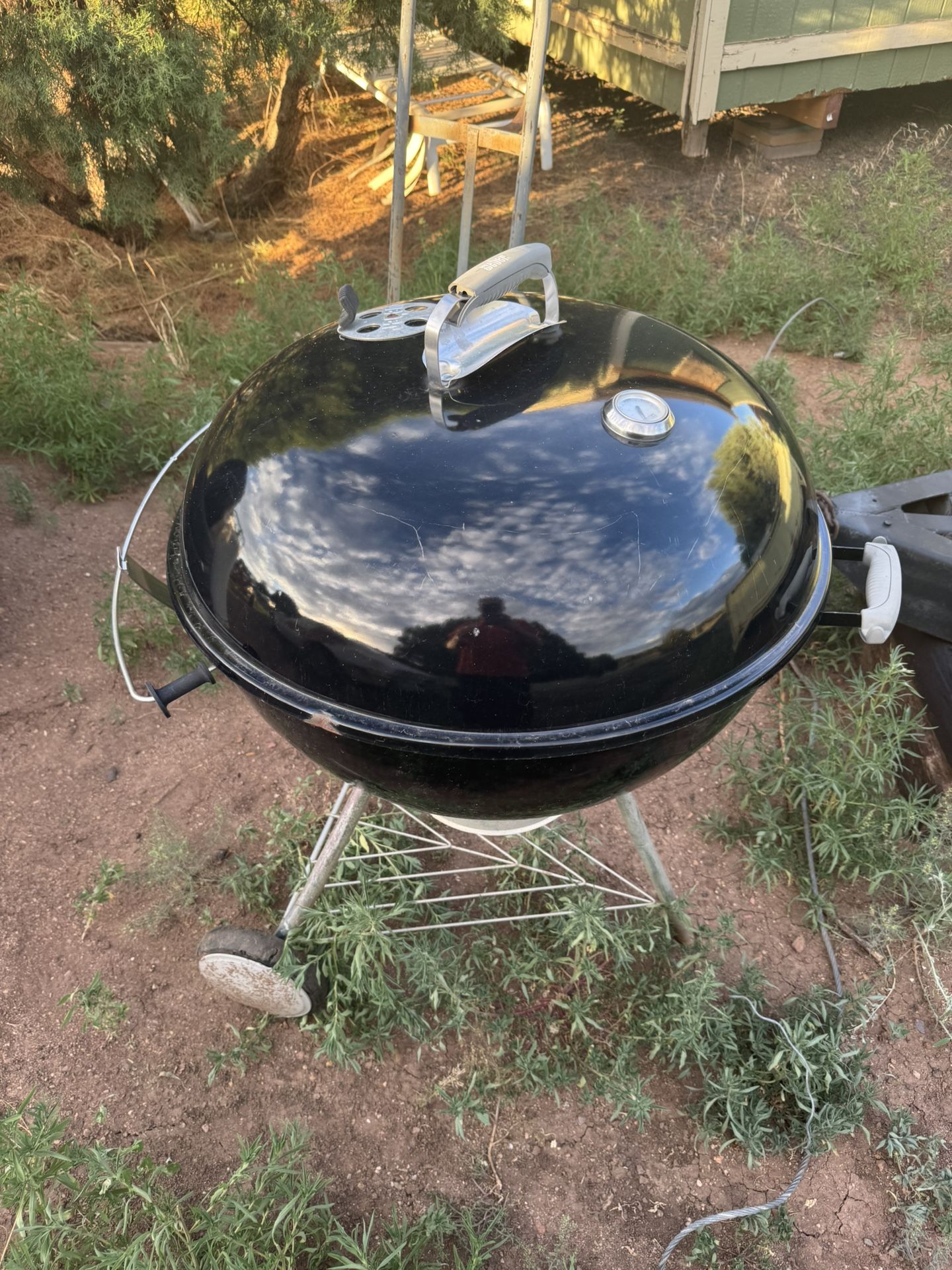 Weber BBQ