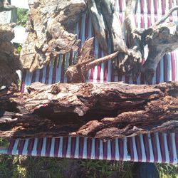 Aquarium, Terrarium And Tank Enclosure Enrichment