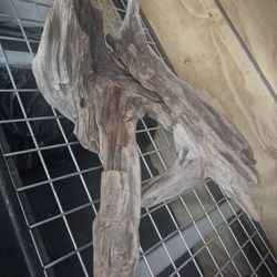 Drift Wood Decoration 