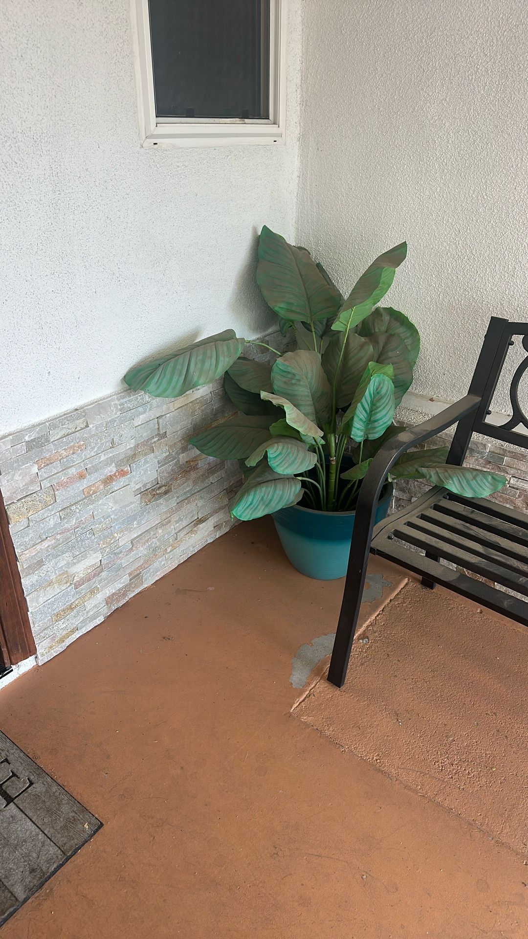 Fake Plant