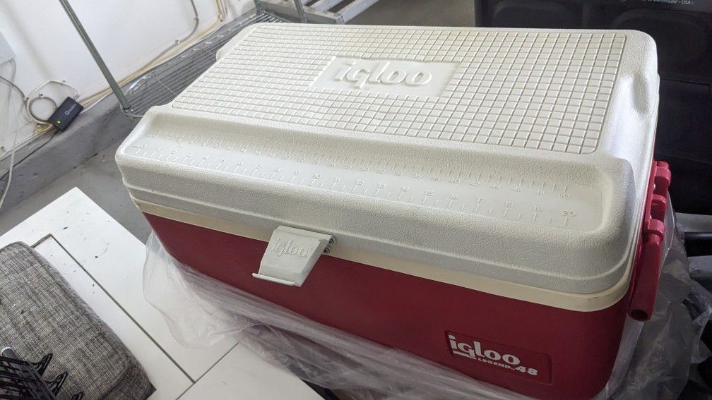 Igloo Cooler