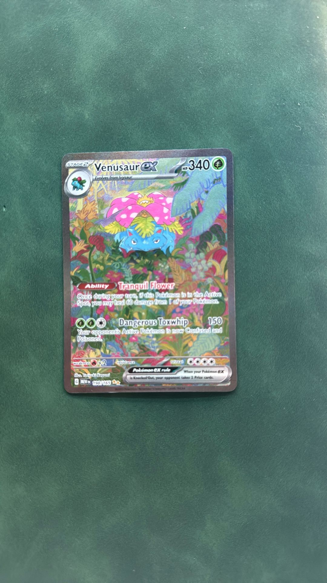 Venusaur EX 198/165