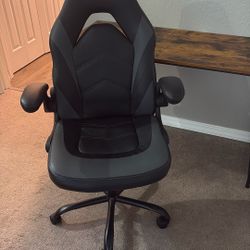 Video Game/desk Chair
