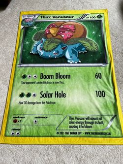 Pokémon Rug