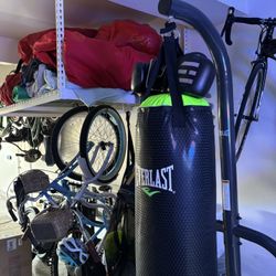 Everlast Punching Bag With Stand