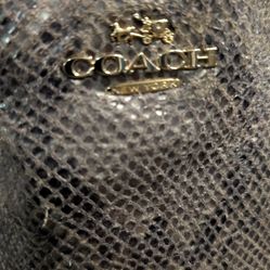 COACH vintage snakeskin purse