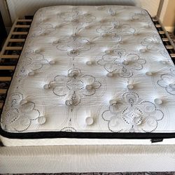 Full Size Mattress 