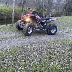 Yamaha Raptor 