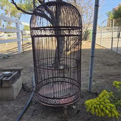 Antique Rod Iron Bird Cage