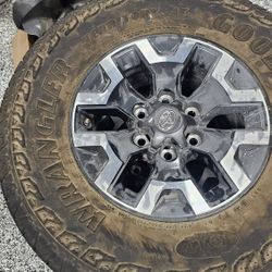 2023 Trd Tires And Wheels W/full Back Seat