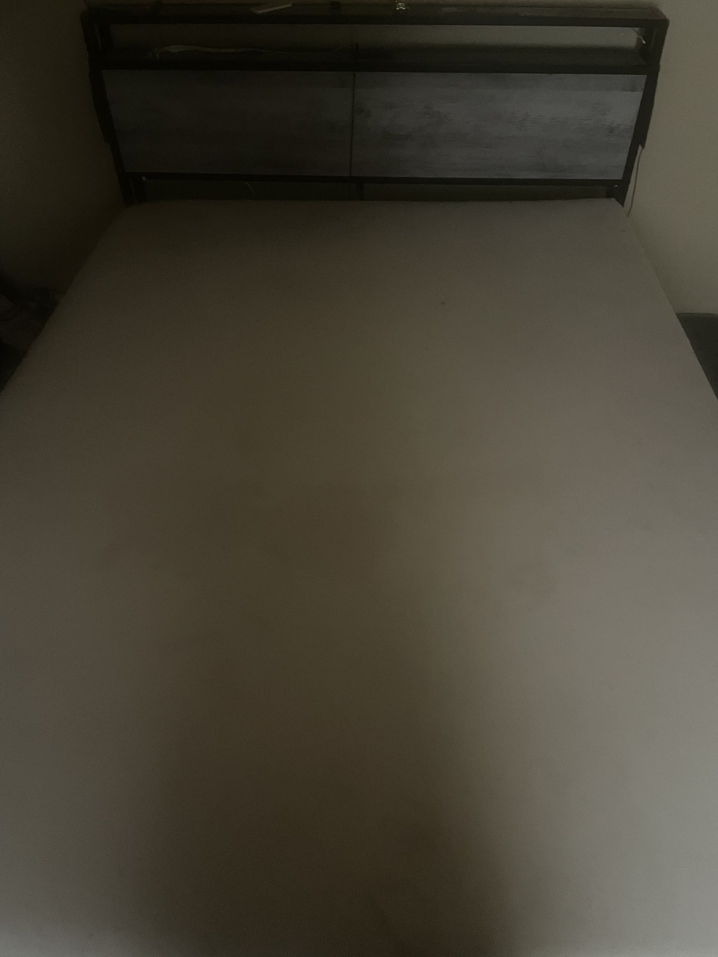 Queen Bed W/LED lights