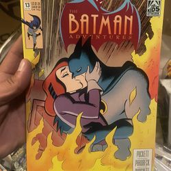 THE BATMAN ADVENTURES #13! VF 1993 DC COMICS