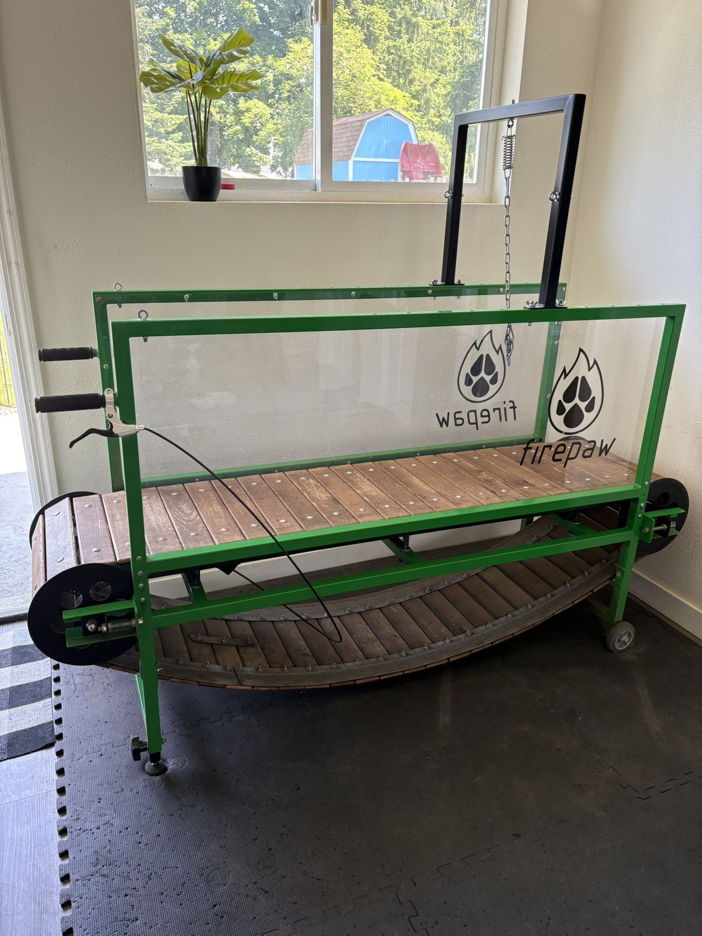 Firepaw Dog Treadmill (large)