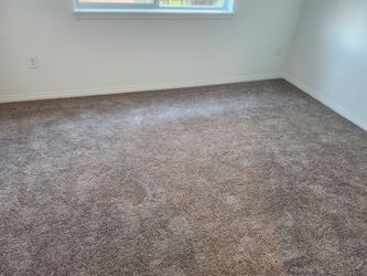 Carpet + padding