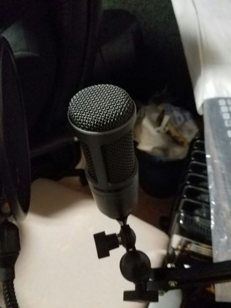 Microphone