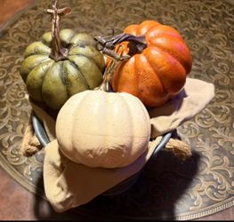 Fall Decor Pumpkin Set with Galvanized Metal Bucket. Read description 1st