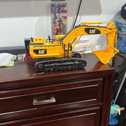 Cat Digging 