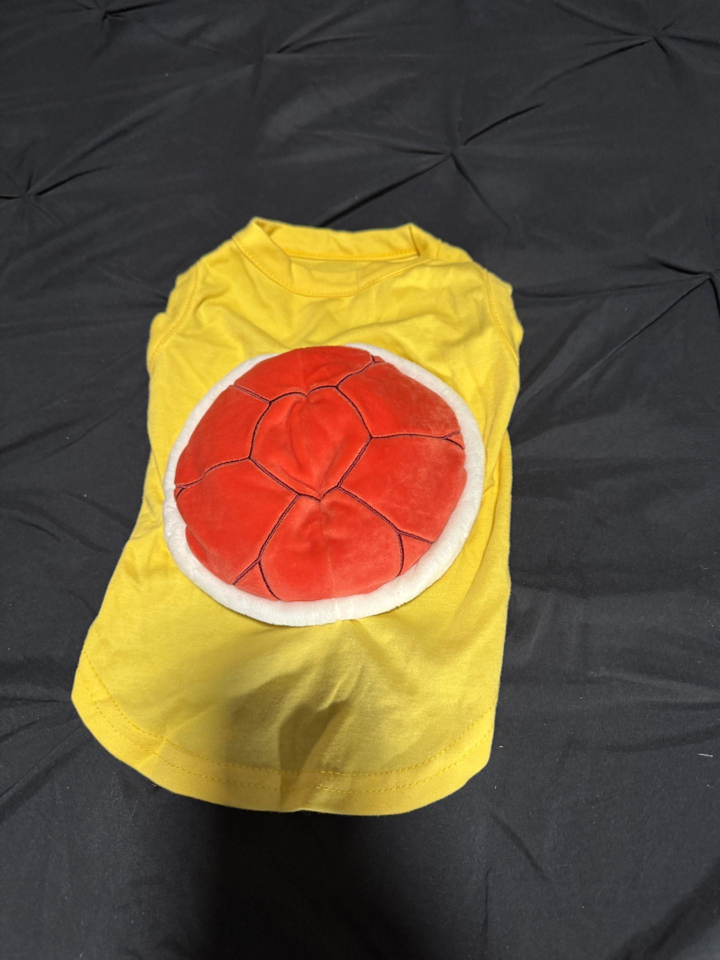 Koopa Troopa Costume