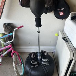 Punching Bag + Gloves