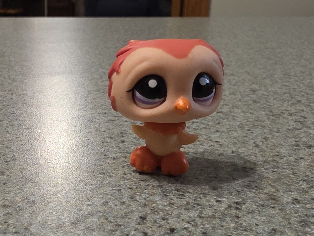 Littlest Pet Shop Owl