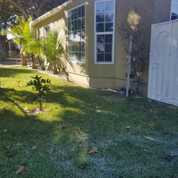 Pintor Interior Y Exterior 