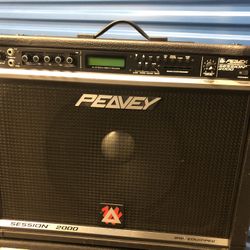Peavey & Ampeg Amps