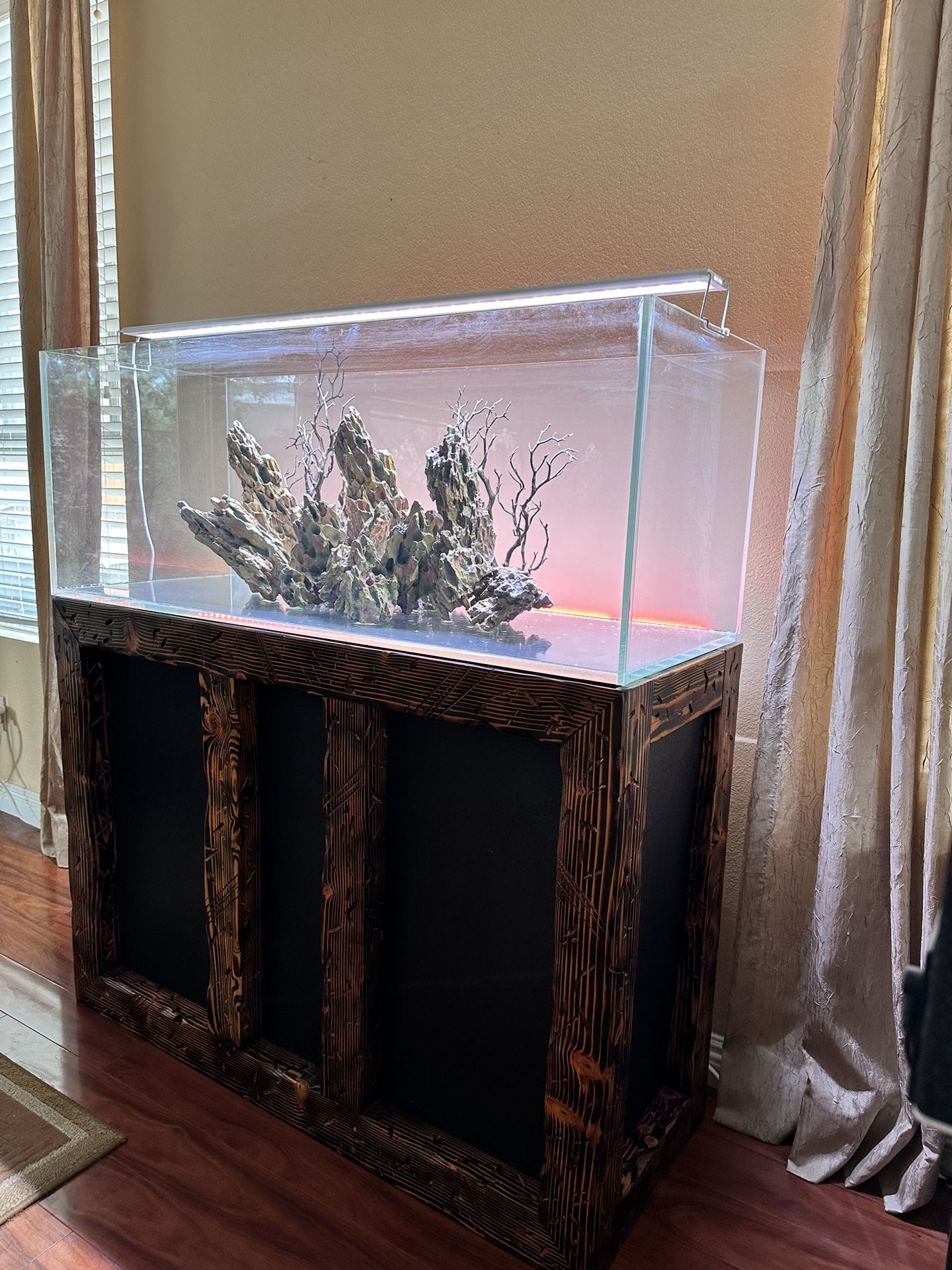 Freshwater Fish Tank Setup 68gal