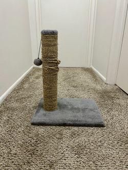 Cat Seagrass Scratch + Play Post with Dangling Ball