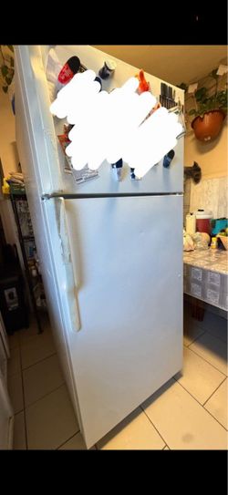 Fridge