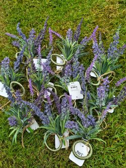 Lavender Napkin Rings - Pier 1 (Set of 10)