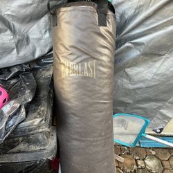 Everlast Punching Bag