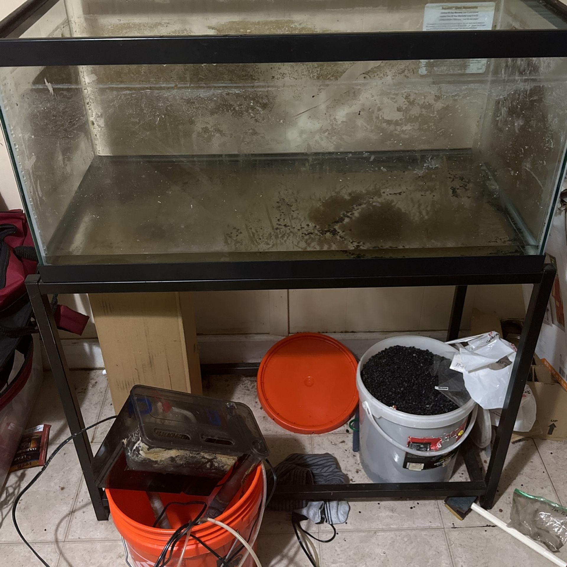 40 Gallon Breeder 