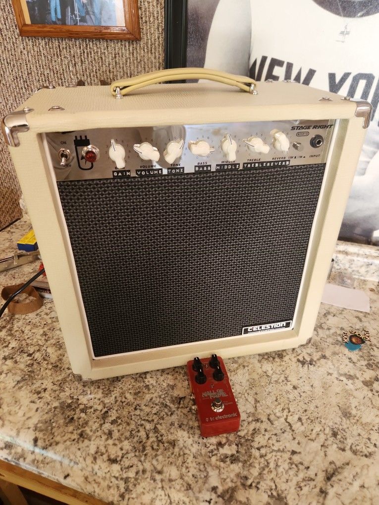 Stage Right Mono Price 15watt Amp