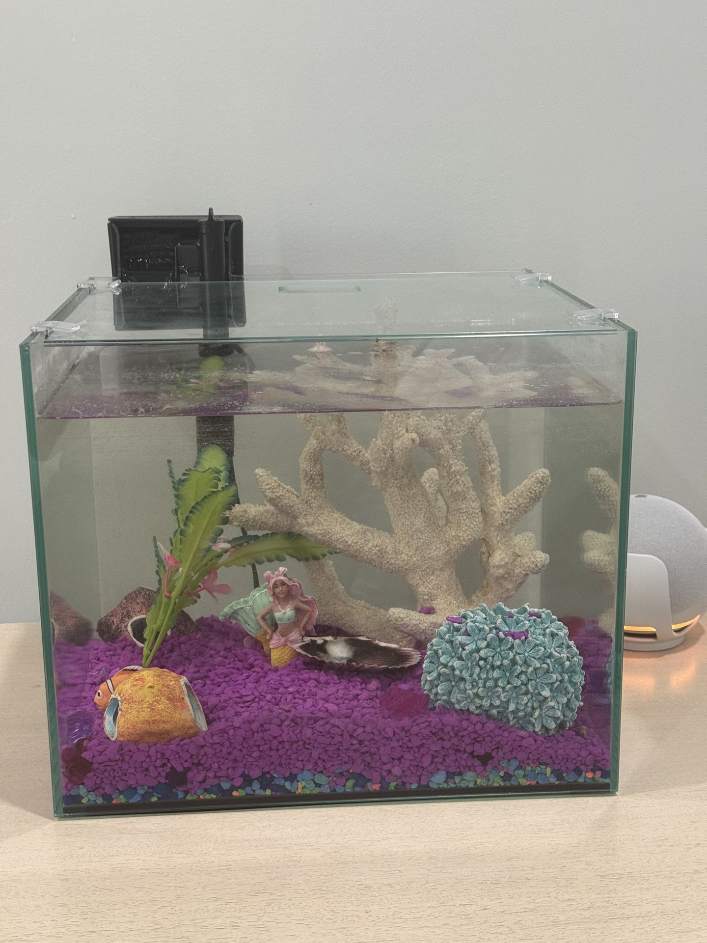 Fish Tank