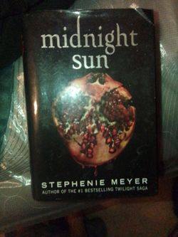 Midnight sun book