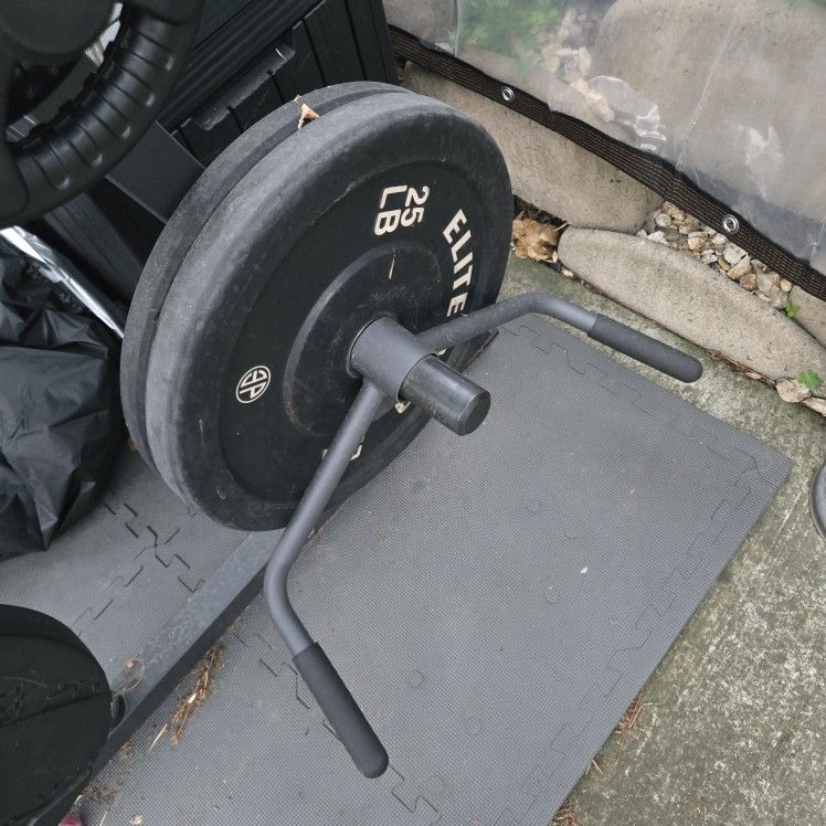 Elite 40lb number plates (2 pieces)