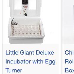Egg Incubator 