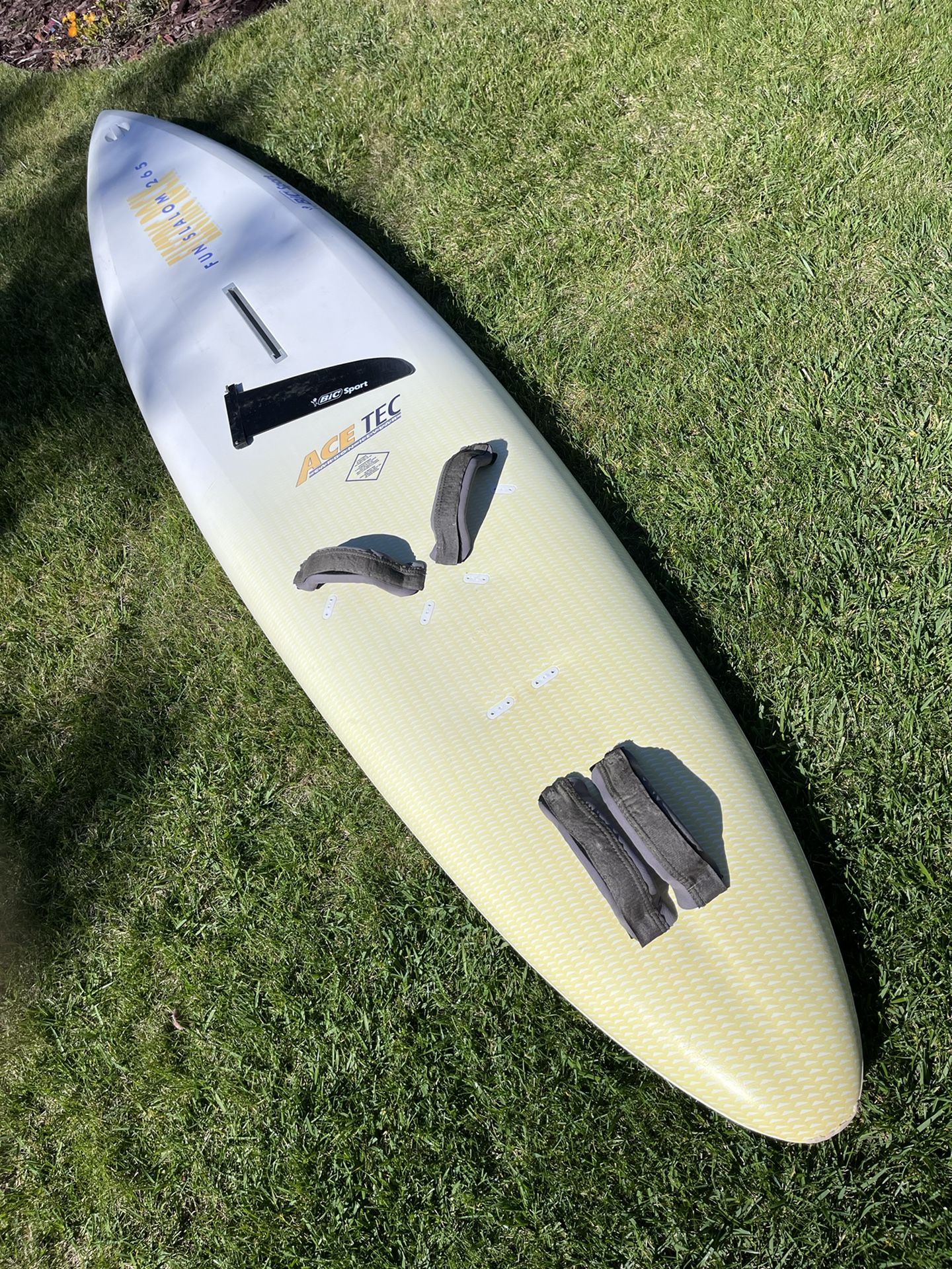 BIC Electric Rock 265 Fun Slalom Board