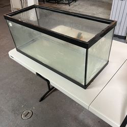Reptile/ Fish Tank 