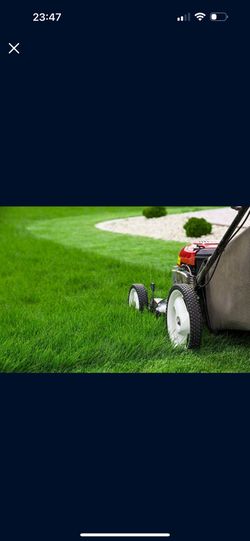 GARDENER/JARDINERO