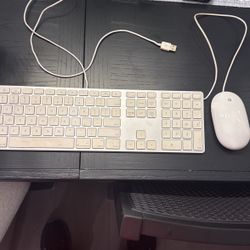 Apple Usb, Keyboard And Mouse