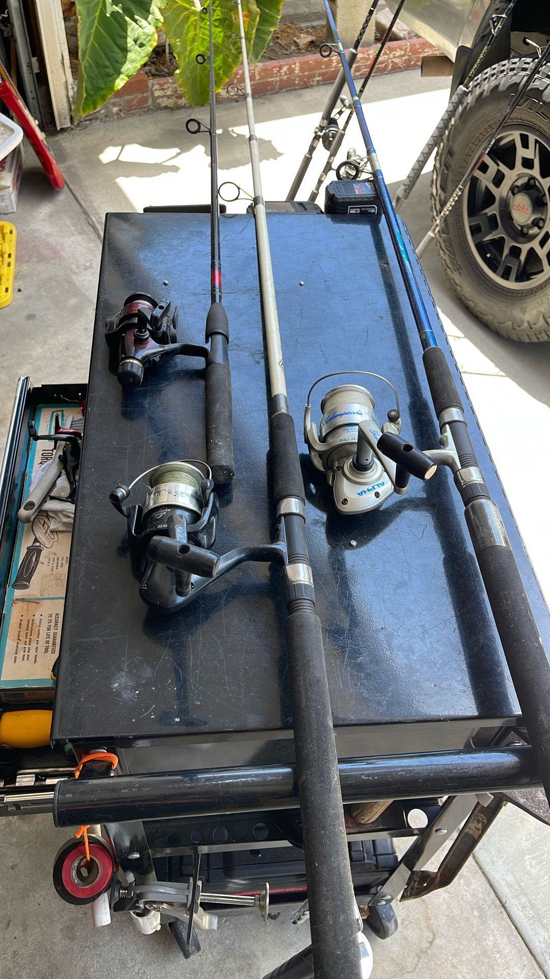 Fishing Rods & Reels